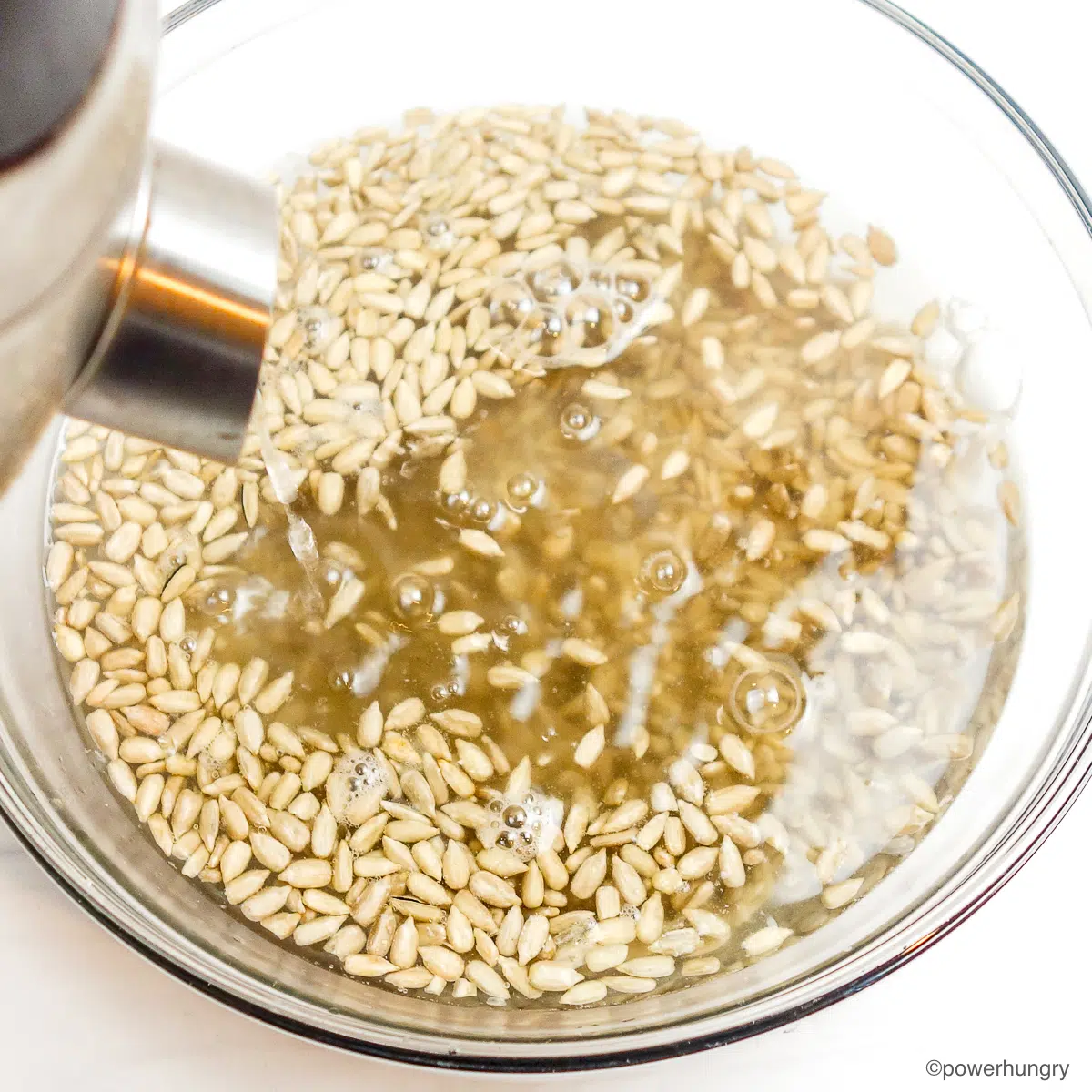 sunflower seeds in a bowl, getting covered by boiling water