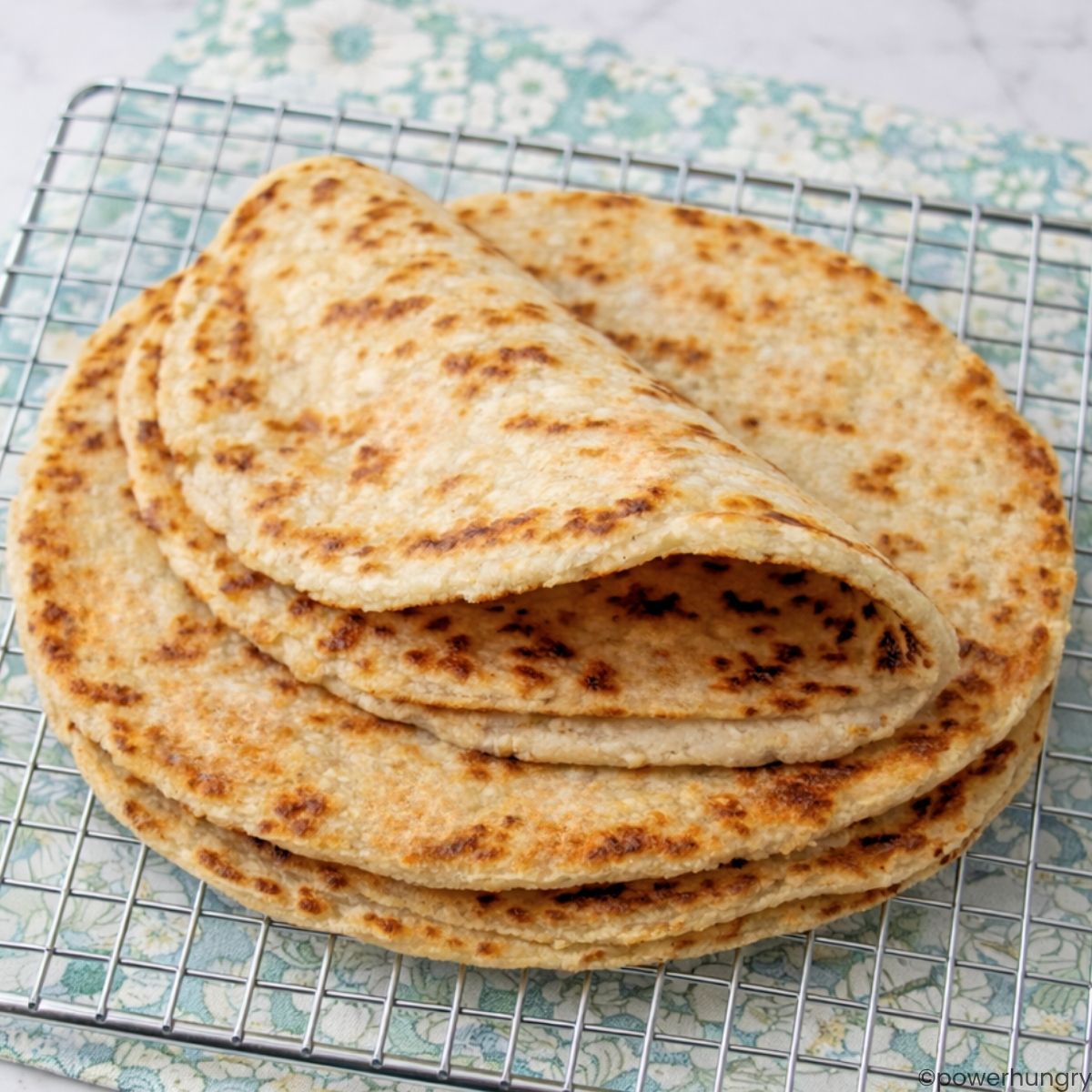 sunflower seed torilla, folded