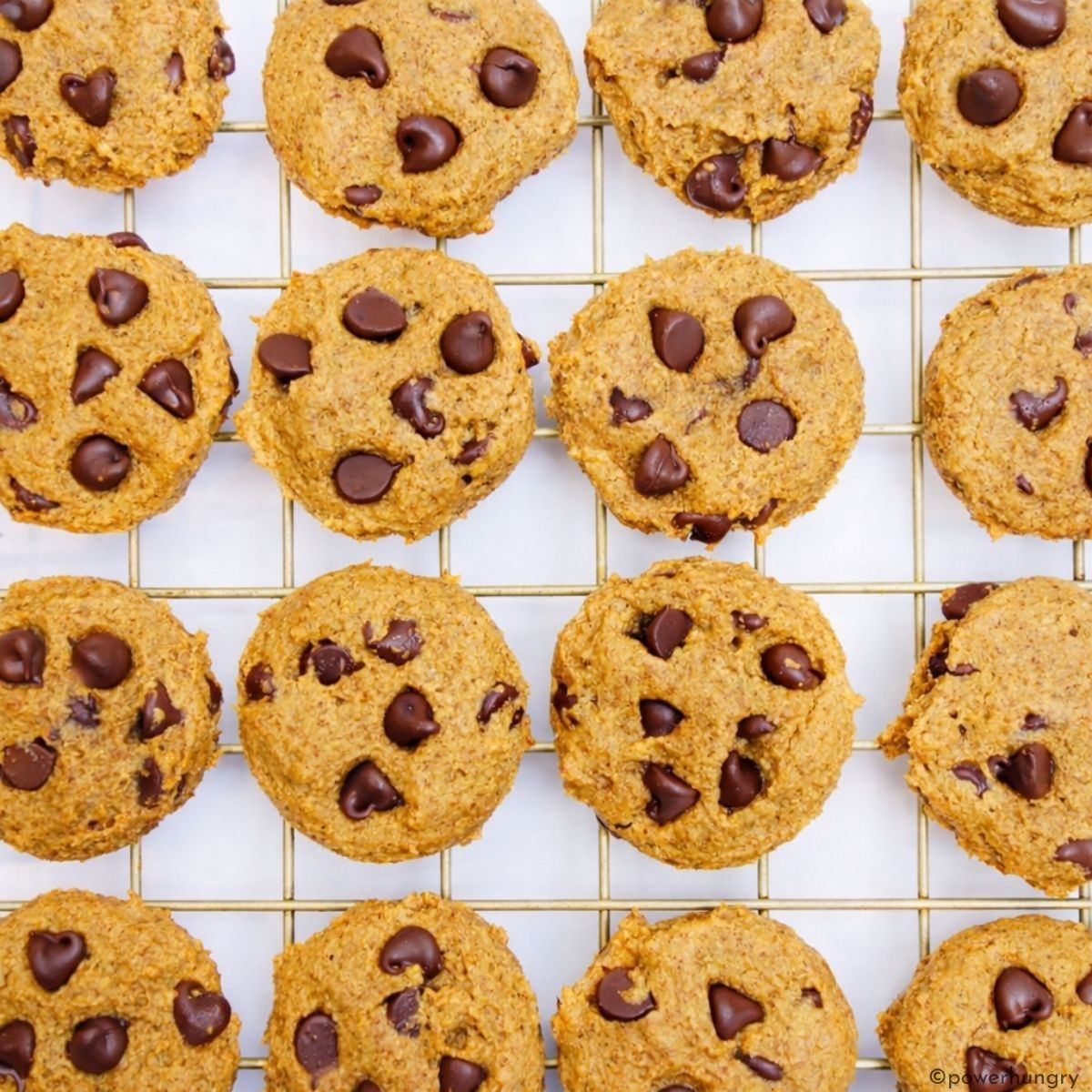 oat flour chocolate chip cookies on cooling rack
