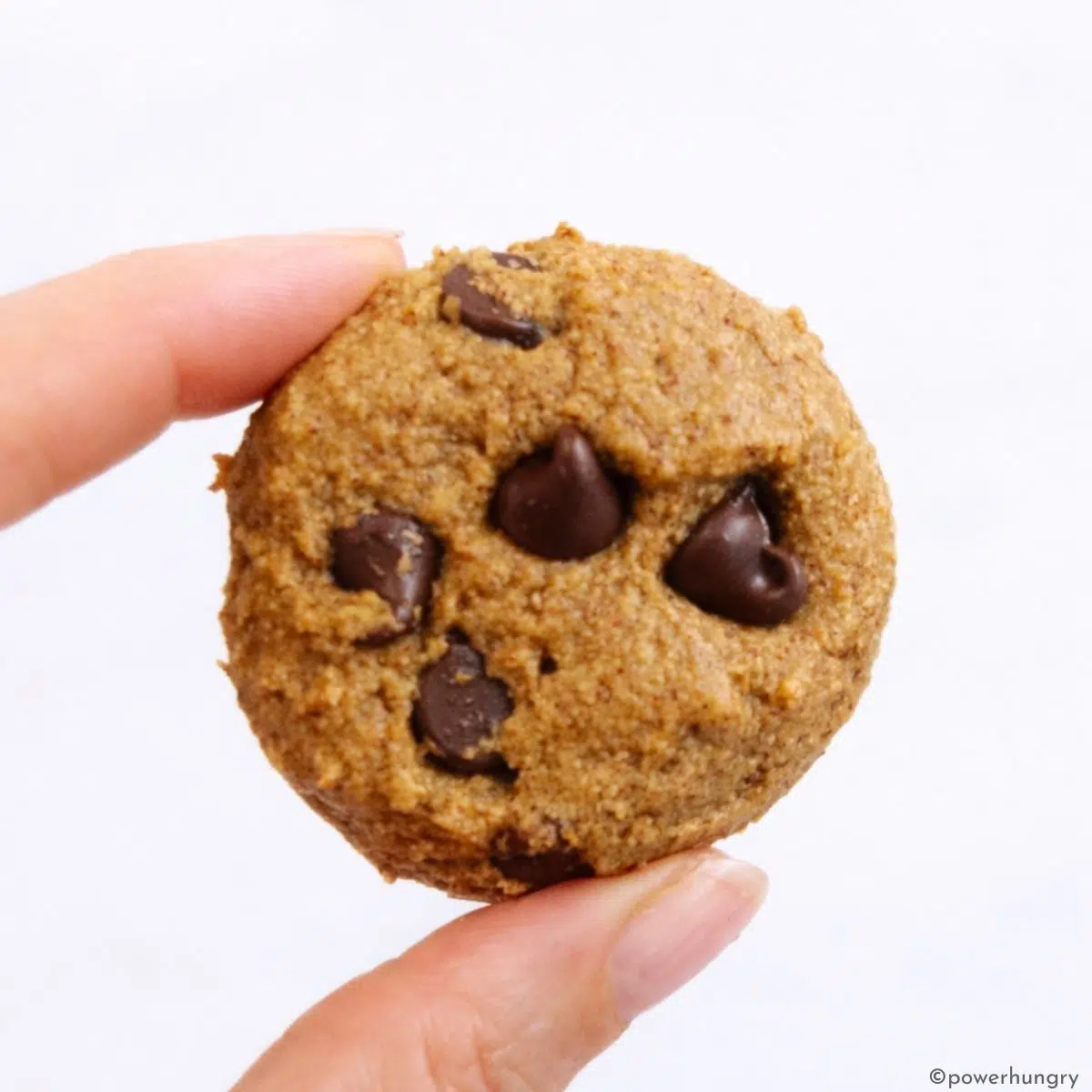 a single chocolate chip oat flour cookie