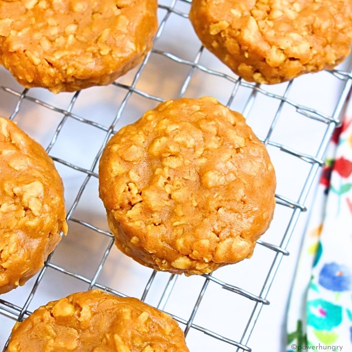 overhead shot of 3 ingredient no-bake protein cookies