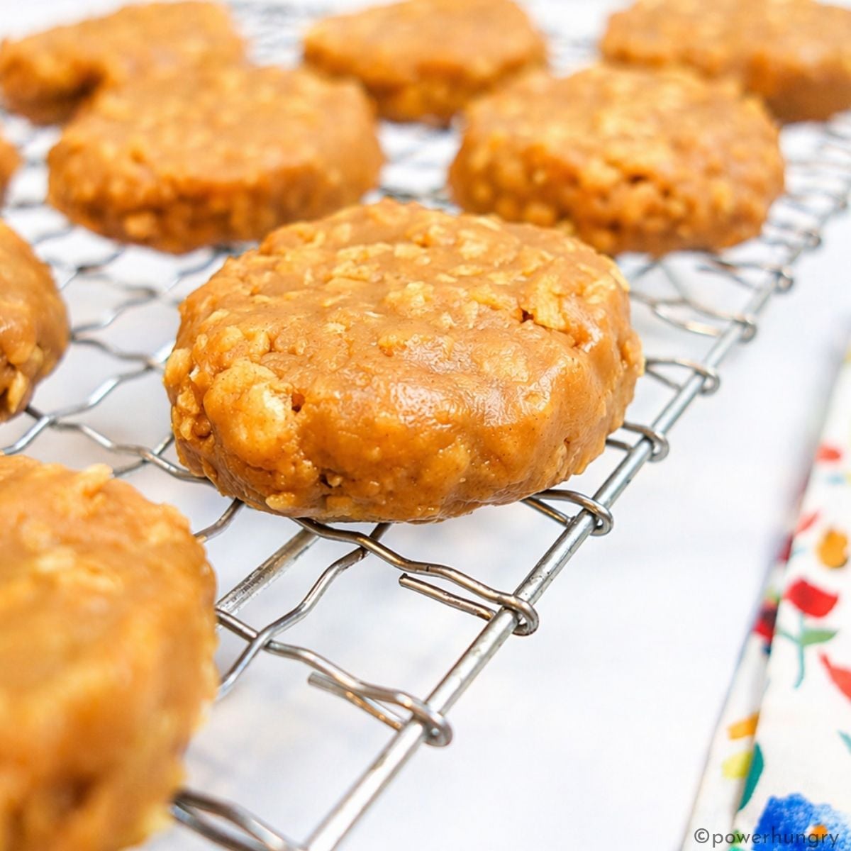 3 ingredient high protein no bake cookies on a silver rack
